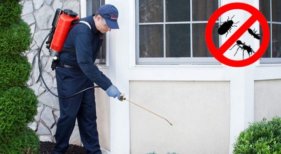 Hatay Gümüşkurt İlaçlama böcek ilaçlama ve haşere kontrolü — ilaclama-tr.com